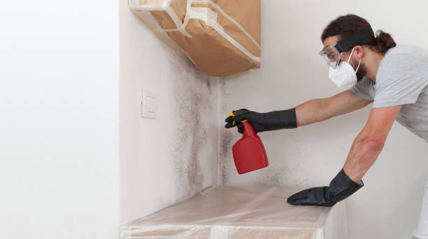 Professional Bathroom Mold Removal technician working in Smithtown, NY
