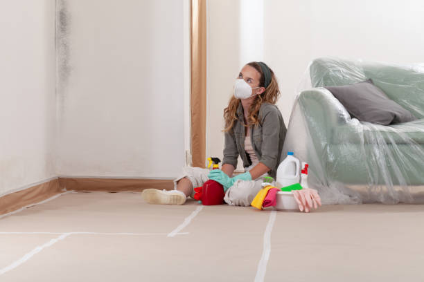 Reliable Bathroom Mold Removal contractor in Smithtown, NY by WQB Mold Removal